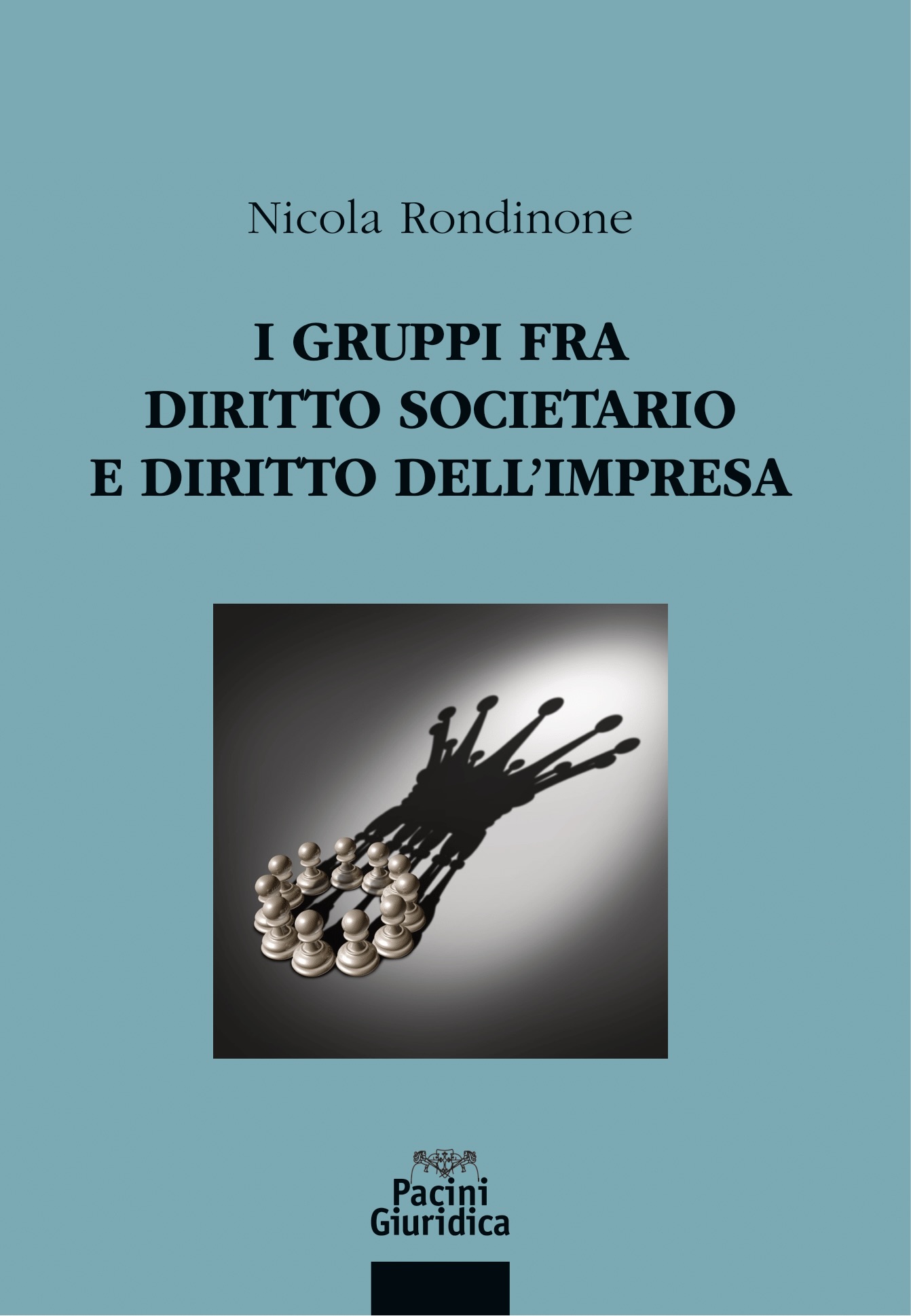I gruppi fra diritto societario e diritto dell'impresa